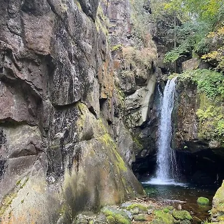 Hills 别墅 科斯泰内茨